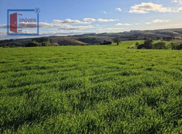 55b14ccc6241b4b7a97ff07698b3b2bb2a4d3937 · Fazenda com 48 alq. bem localizada em Itapetininga