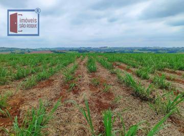 44980749843cf1097a678aba8b5c02d2c4df4ffe · Fazenda com 42 alq em Itapetininga