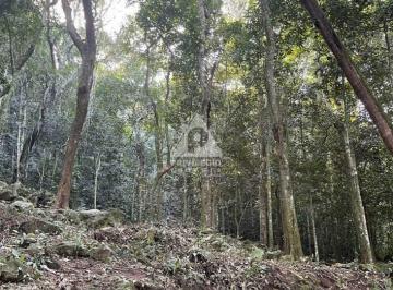 Terreno · 2400m² · Lote de Terreno em São Conrado – 2.400 m² | RGI OK | Vista Mar e Natureza