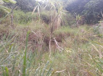 Imagem do WhatsApp de 2024-11-14 à(s) 15.53 · Terreno à venda no Morumbi, São Paulo