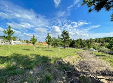 Terreno · 3786m² · TERRENO CONDOMÍNIO  QUATRO BARRAS - PR