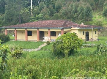 Rural de 3 quartos, Biritiba-Mirim · SÍTIO COM 6.3 ALQUEIRES EM MOGI DAS CRUZES