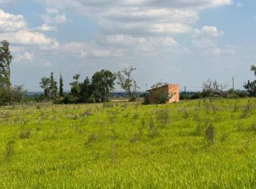 Rural · 10000m² · Chácara de 10.000 m² no bairro Nova Campinas