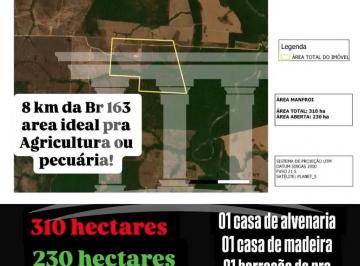 dee0d43a-9e7f-4ea6-a478-65cf4b375de6.jpg · Fazenda Manfroi à venda, isol, Novo Progresso, PA