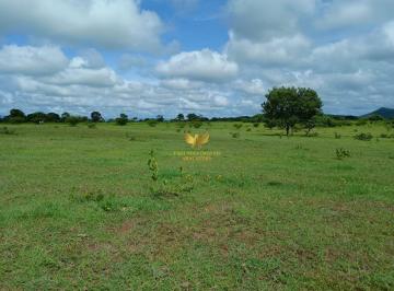 i1.jpg · FAZENDA - SELVIRIA MS