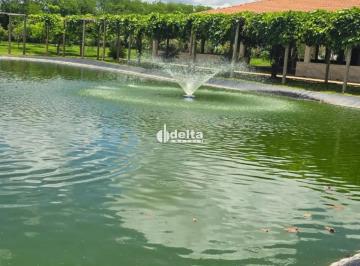 Rural · 1400m² · 70 Vagas · Chácara comercial disponível para Venda no bairro Vieno em Araguari-MG