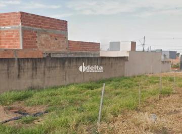 Terreno · 250m² · Terreno disponível para venda no bairro Jardim Ipanema em Uberlândia MG