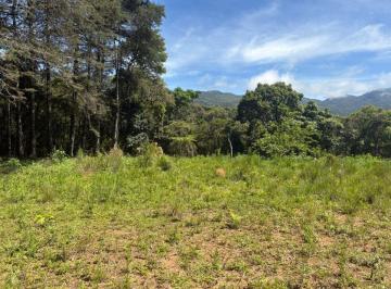 Terreno , São Francisco Xavier · TERRENO DE 7 ALQUEIRES NA REGIÃO DE SFX