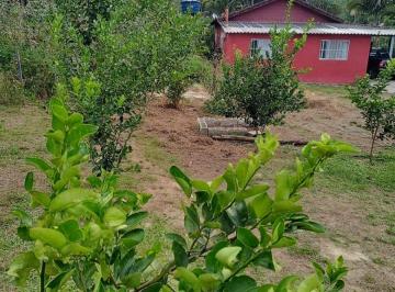 Rural en Venda de 4 quartos  · Sítio em Miracatu-SP COD: 5902 F:(11) 97302-9229 CESAR