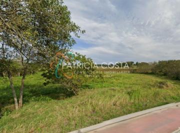 Terreno · 4594m² · Terreno de 4.500m² no Ambrósio-Garopaba/SC