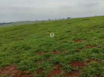Rural · 226m² · Fazenda à venda em Conchal/SP