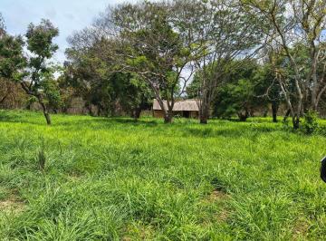 Rural , Colinas do Sul · FAZENDA PARA PECUÁRIA EM COLINAS DO SUL, GOIÁS