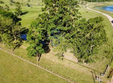 Foto 02 · Chácara/sítio/fazenda, Morro Grande, Santo Antônio da Patrulha, RS