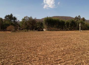 Rural · 340ha · 3 Quartos · 5 Vagas · Fazenda em Alto Paraiso-GO - 340 hectares R$ 15.500.000,00