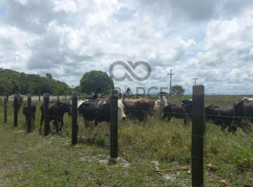 Rural de 2 quartos, Canavieiras · ESTÂNCIA SANTA FÉ - 152HA - CANAVIEIRAS/BA