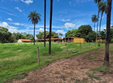 Rural de 3 quartos, Gama · HARAS NO GAMA QUE PODE CRIAR GADO TAMBÉM 10.5 HECTARES DOCUMENTAÇÃO 100%! Pode virar Hotel fazenda!