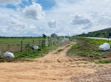 Foto 02 · TERRENO TIPO CHACARA COM 3.000 M2 EM IAÇU -BA