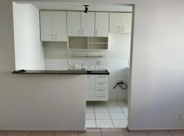 whatsapp-image-2025-12-08-at-09-57-15-11765205514801.jpeg · Imoveis - no Jardim Nova Europa