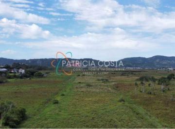 Terreno · 38559m² · Terreno Plano de 3,8 Hectares á Venda no Ambrósio-Garopaba/SC