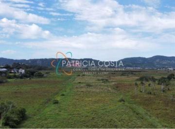 Terreno · 38559m² · Terreno Plano de 3,8 Hectares á Venda no Ambrósio-Garopaba/SC