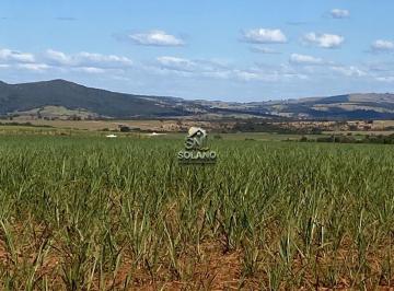 Rural · 161m² · 3 Quartos · 10 Vagas · Fazenda à venda no bairro Centro - Goianésia/GO
