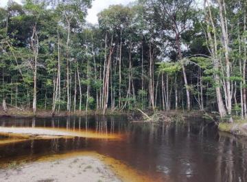 Rural de 3 quartos, Balbina · Pousada Ecológica/Um Paraíso Exclusivo em Presidente Figueiredo - AM