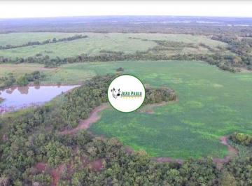 Rural , Porangatu · Fazenda PRODUTIVA a venda em Porangatu-GO - 477 Hectares -Lavouras em toda região