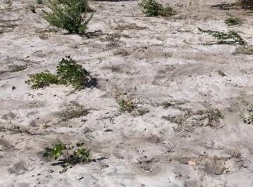 Terreno , Fortim · Terreno 100% Plano e Pronto para Construir em FORTIM/CE