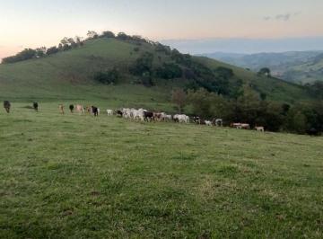 Rural de 2 quartos, Munhoz · SÍTIO À VENDA MUNHOZ MG COM ESCRITURA