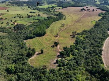 202512091333051080.jpg · Fazenda para Venda em Echaporã, Fazenda Entre Rios