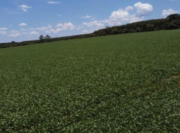 Foto 01 · Sítio à venda em Itapetininga-SP: 411.400,00 m² de área na Área Rural de Itapetininga!