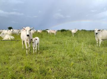 202512091554203768.jpg · Fazenda para Venda em São Paulo do Potengi, Centro