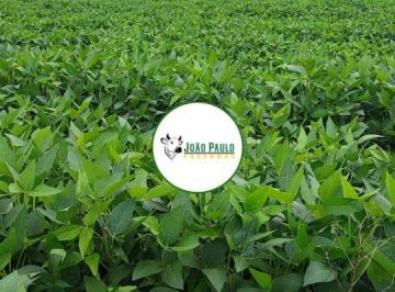 Rural 464ha Venda Zona Rural · Fazenda a venda em Uruaçu-GO 464 HA - Plantando 300 há de LAVOURA há 8 anos