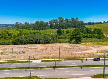 Terreno · 1496m² · Terreno industrial em Pinhais