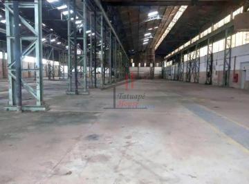 16863_i931G6IjQZO97pn24_1686369384b84c891c.jpg · Galpão Locação/Venda Cangaíba 18.000 m² 150 vagas