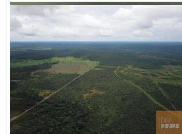 Foto 01 · Fazenda a venda  em Cana Brava do Norte MT  Área em hectares: 2001 R$ 17.500,00 por HA