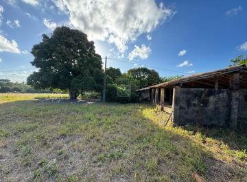 Rural · 115994m² · 4 Quartos · 1 Vaga · Chácara Espetacular no Povoado Canjinha – O Seu Refúgio de Paz em Areia Branca!