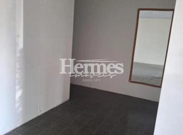 whatsapp-image-2026-03-25-at-15-15-471774462801009.jpeg · Imoveis - em Santa Cecília