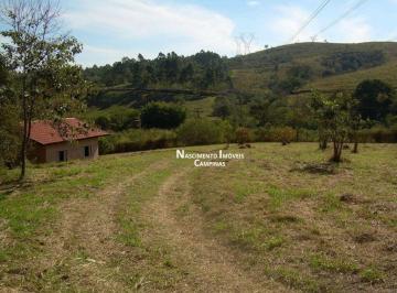 971a34db51fbe546c153139fba0c16be5b0586ff · Chácara encantadora com 3 dormitórios à venda, 22.874 m² por R$ 1.480.000