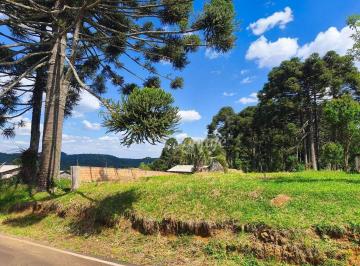e9cc7cbffe3a5629e5d1368b9df95090c0c51688 · Terreno à venda, 553 m² por R$ 80.000 - Taquara Verde - Caçador/Santa Catarina