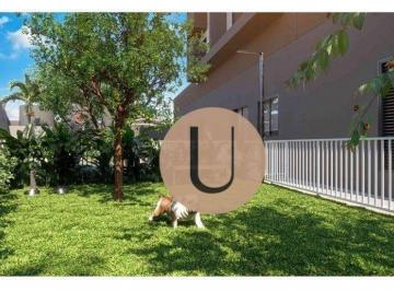 21236a4f9f7c88610c4c8c4096e7d5c03efd0c99 · Apartamento com 1 dormitório à venda, 32 m² por R$ 521.000,00 - Pinheiros - São Paulo/SP