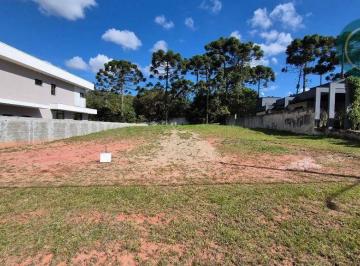 adca2b063819ee24afcf7c164b1ba5c288e70b13 · Terreno à venda, 1027 m² por R$ 590.000,00 - Centro - Piraquara/PR
