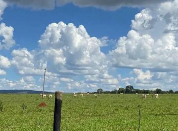 Rural , Prudente de Morais · Rurais com 342 ha à venda em Prudente de Morais