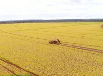Rural , Unaí · Fazenda 10.280 hectares em Unai/MG, sendo 19 km em estrada de terra.