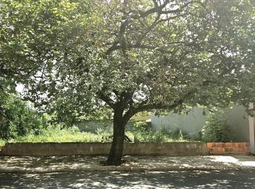 202512150922087564.jpg · Terreno para Venda em Ibirá, Termas de Ibirá