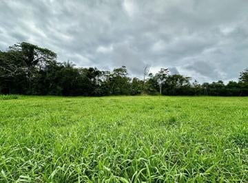TERRENO na Riviera · IMÓVEL PARA VENDA EM RIVIERA DE SÃO LOURENÇO - BERTIOGA *
