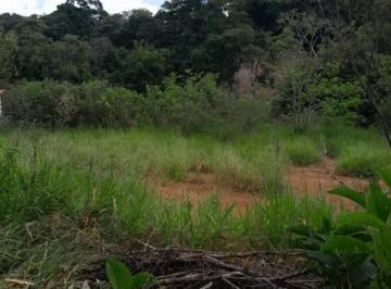 20230506163616274.jpg · Terreno Rural para Venda em Pinhalzinho, Vargem Grande