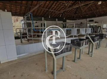 Rural · 200m² · 5 Quartos · 10 Vagas · Sítio de 22 alqueires alto Padrão Igaratá/SP