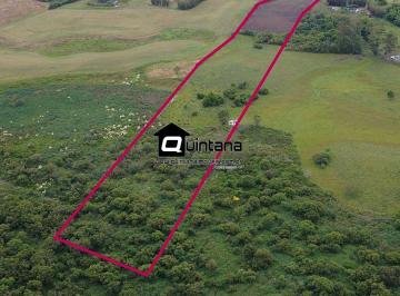 Rural · 50000m² · 1 Quarto · Chácara na estrada da Gama em Pelotas