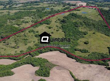 Rural · 300000m² · 2 Quartos · sítio a venda de porteira fechada